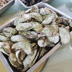 色色色亚洲热门内容